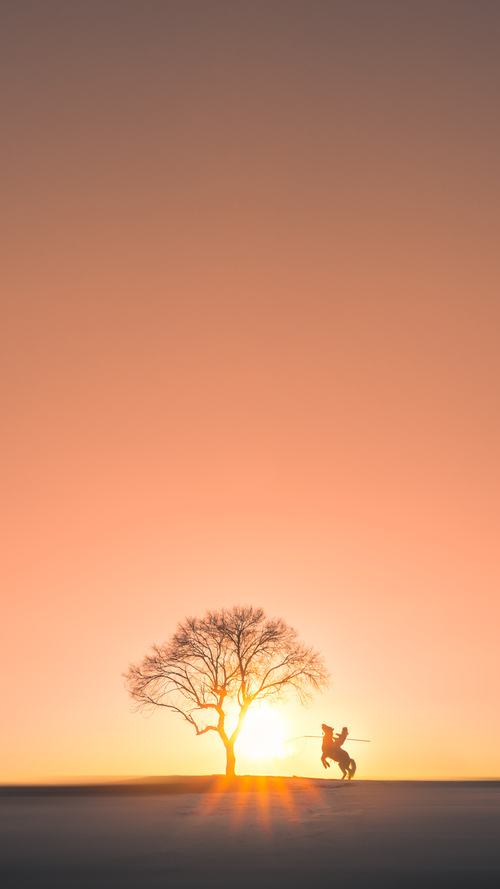 KAIYUN 中国大陆-_骑士年轻核心稳步成长，未来可期_，骑士vn