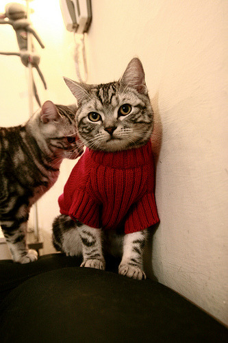 “青训营地配备专业心理辅导,关注青少年身心健康”,青训营报名