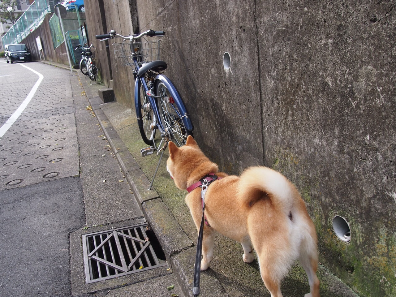 AYX GAMING-【青训探索】少年运动员顿悟：攻守搭配的系统训练课程，青少年运动员训练指南