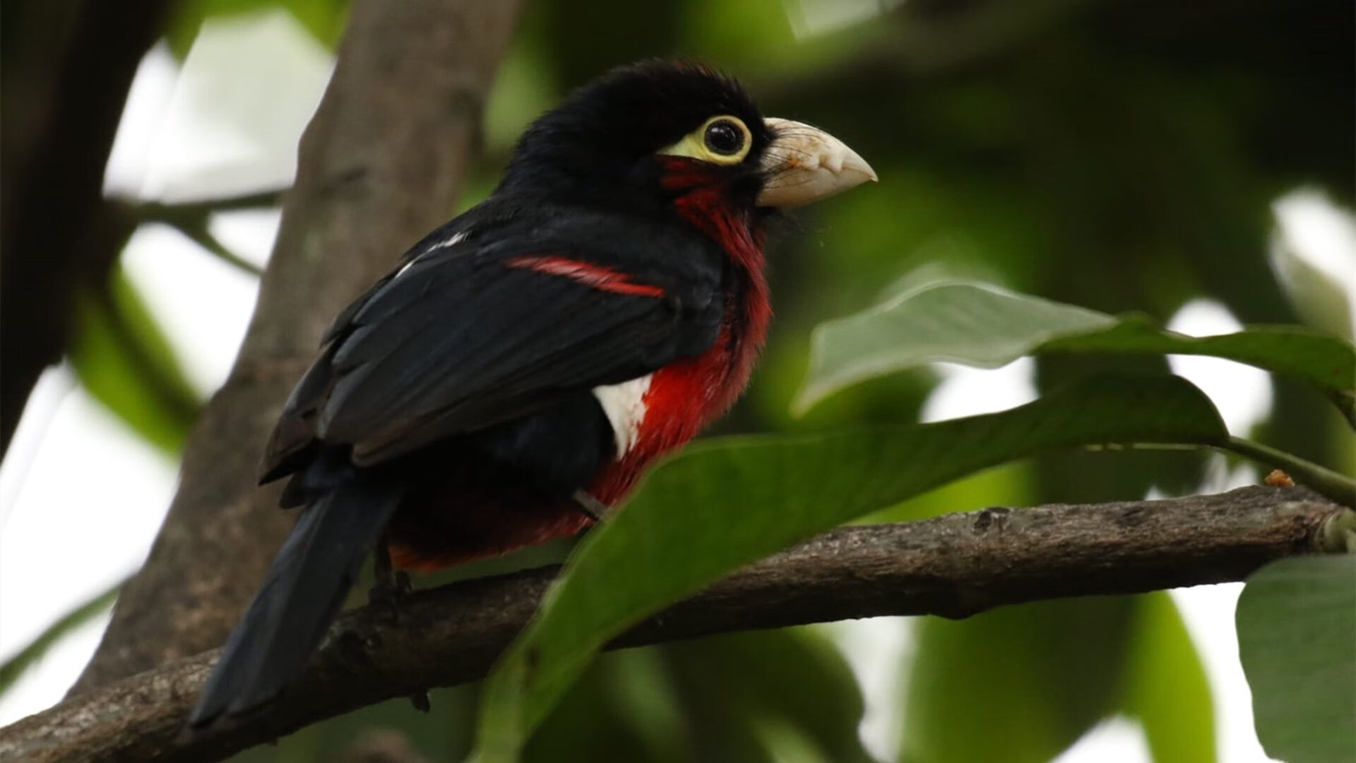 克罗地亚马术协会推出马术运动员健康管理系统，关注运动员身心健康。