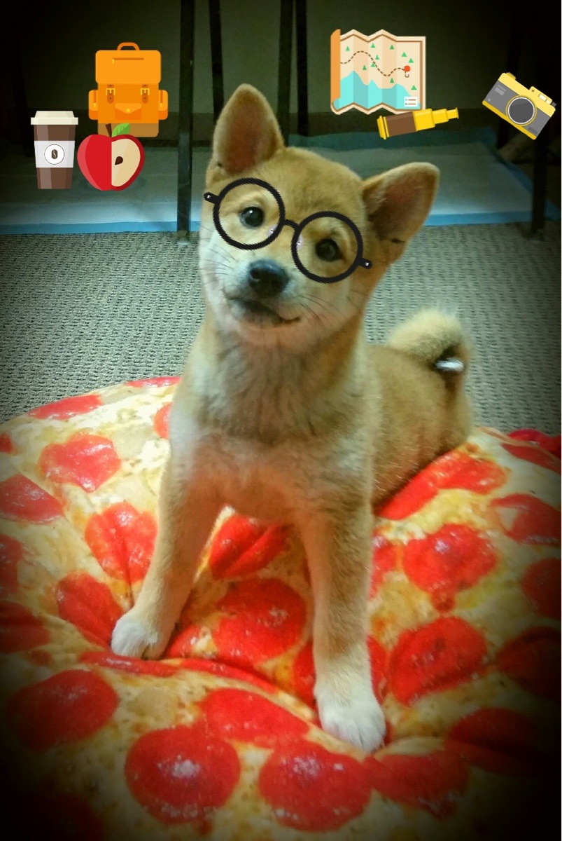 爱游戏app下载-历史大事：联盟发展的重大节点回顾，联盟发生的战争背景