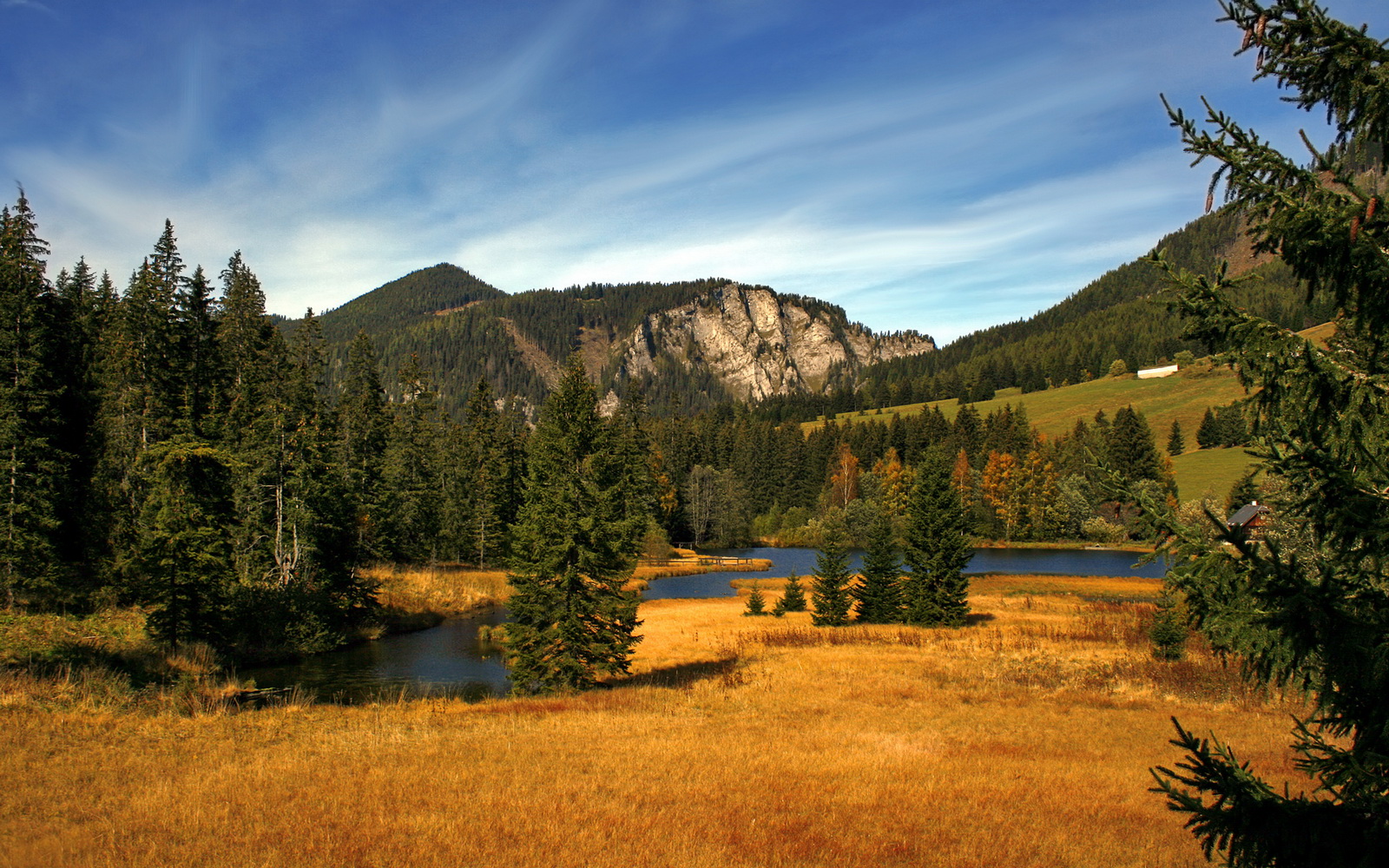 爱游戏体育（AYX）官方APP下载-威金斯连续砍30+，勇士新进攻体系初见成效，威金斯勇士定妆照