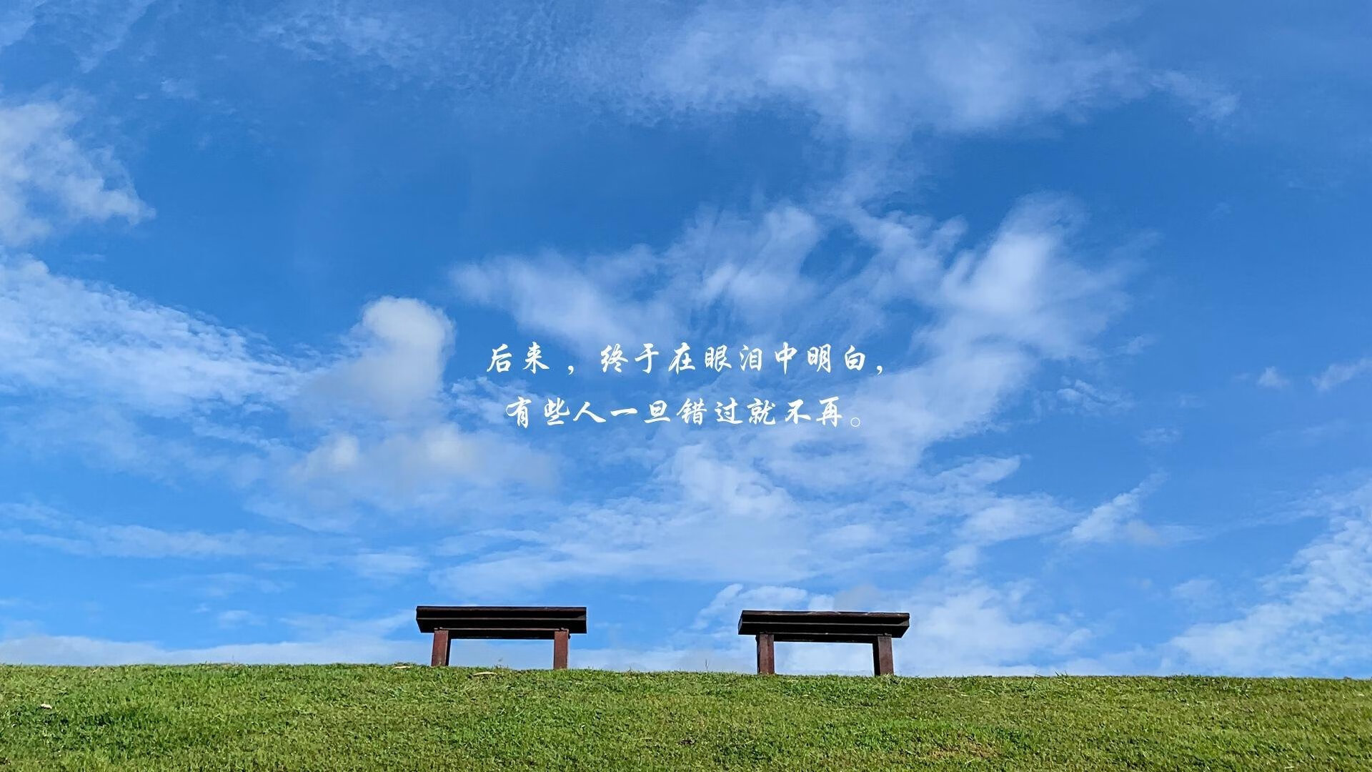 爱游戏电竞官网-德国马术协会引入智能马鞍系统，实现实时数据监测与分析，提升骑乘体验。