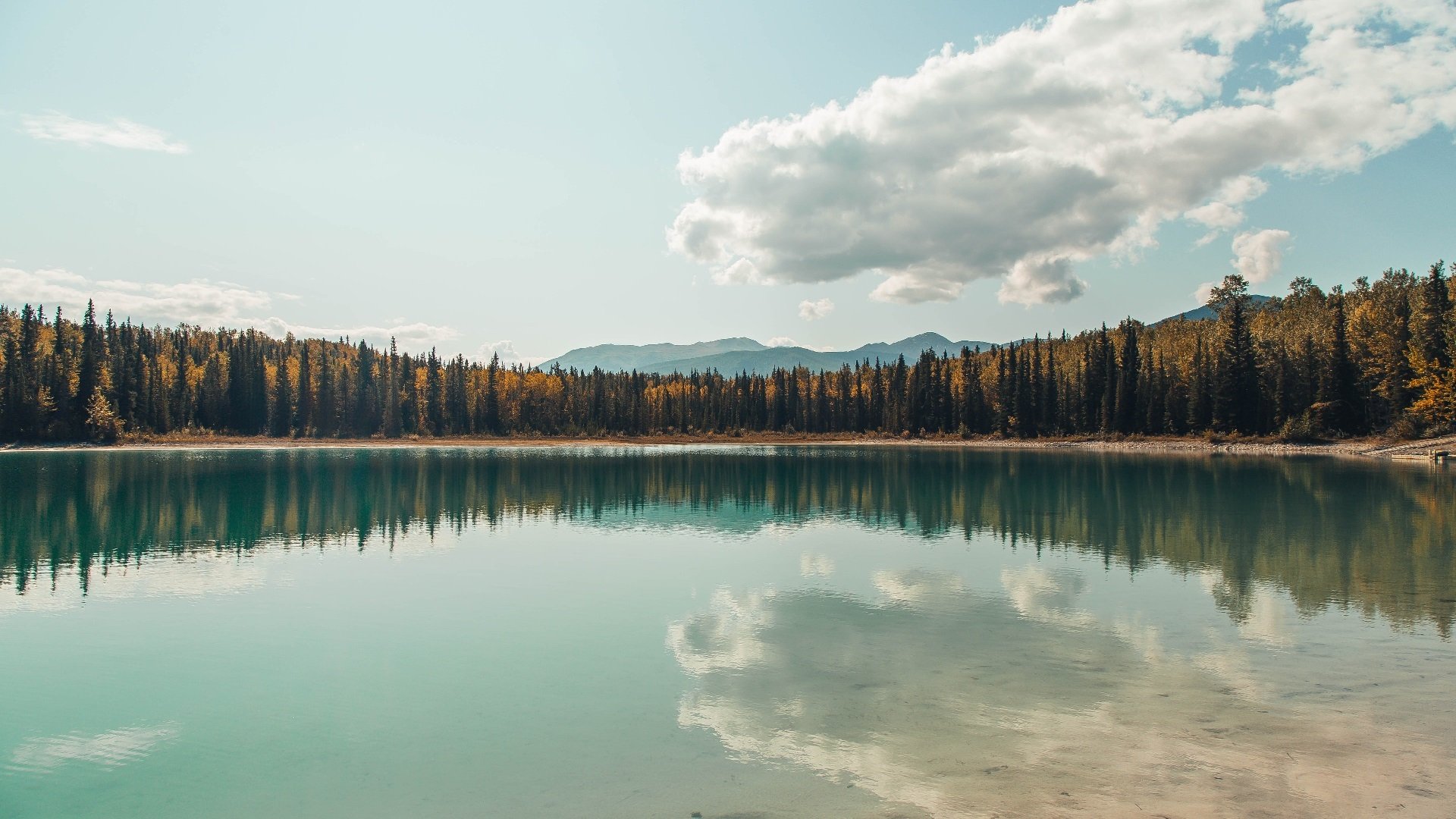 AYX体育-武汉三镇主场告负，排名跌出前四，武汉三镇主力阵容