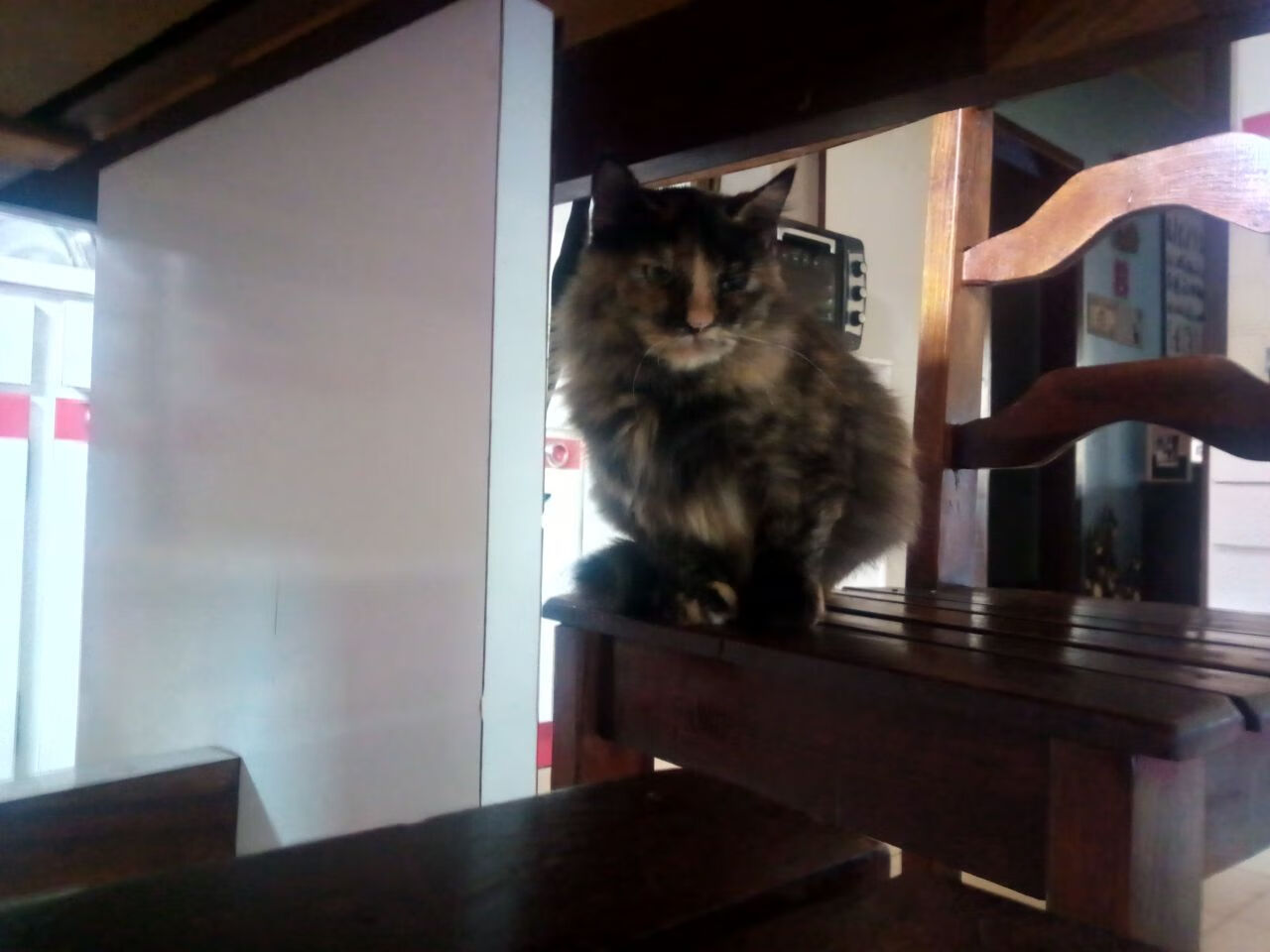 爱游戏体育app-青少年“青春篮球季”在南京全面启动，助力青训产业升级，青少年篮球训练班