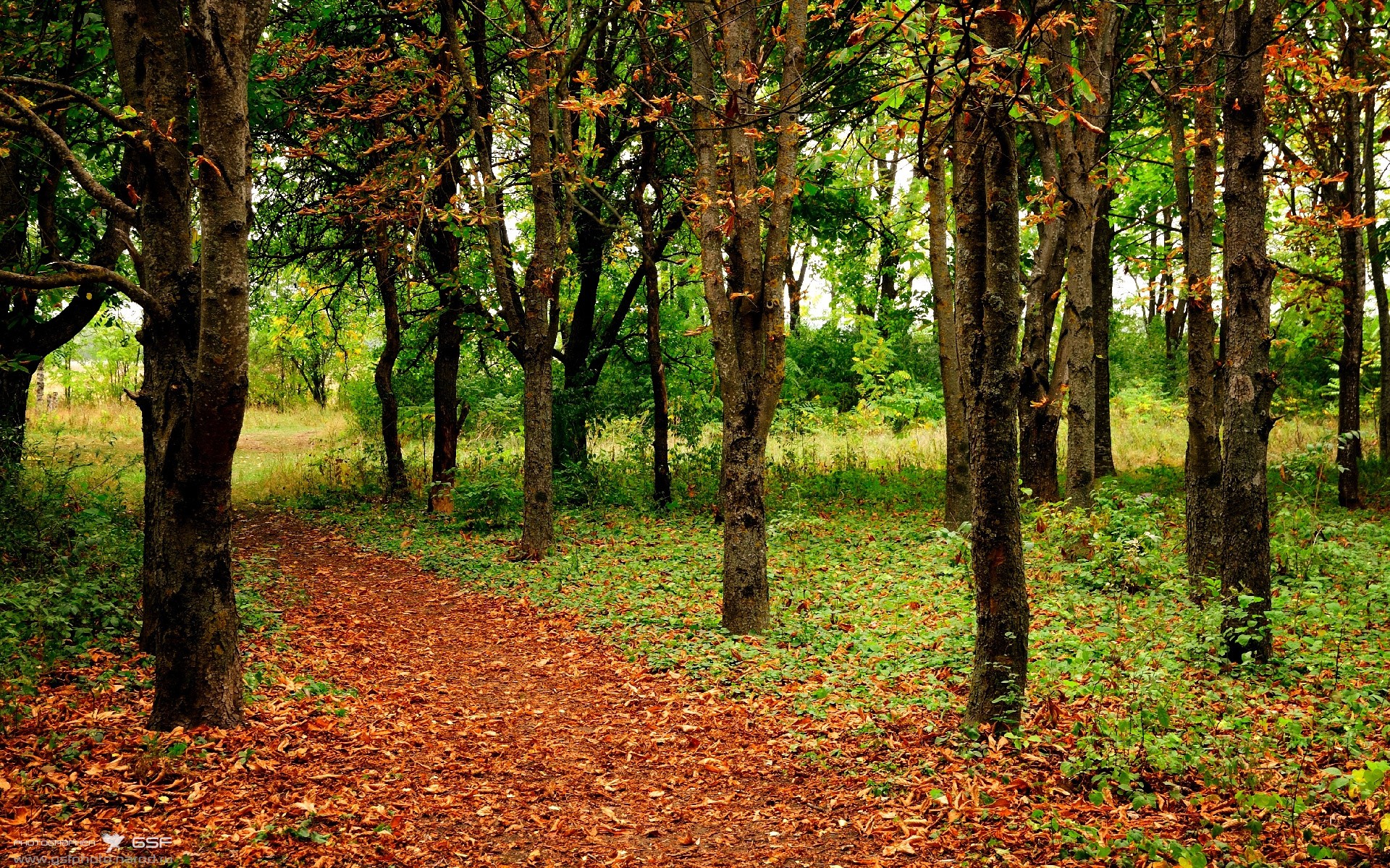 爱游戏官方网站-全北现代主场迎来开门红，全北现代主场在哪里
