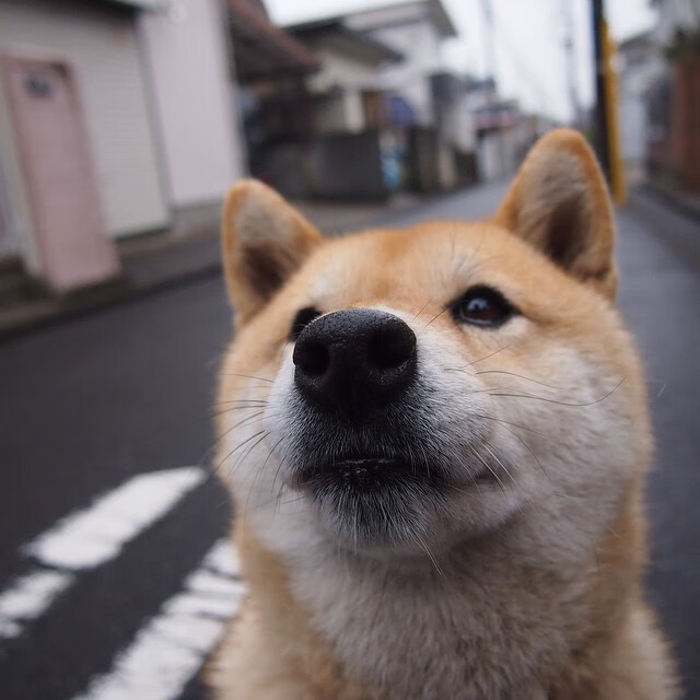 切尔西女足夺得女足联赛杯冠军，切尔西女足夺得女足联赛杯冠军是哪一年