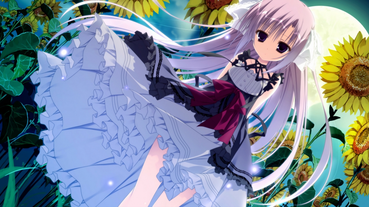 柯洁在“贺岁杯”围棋邀请赛中夺冠