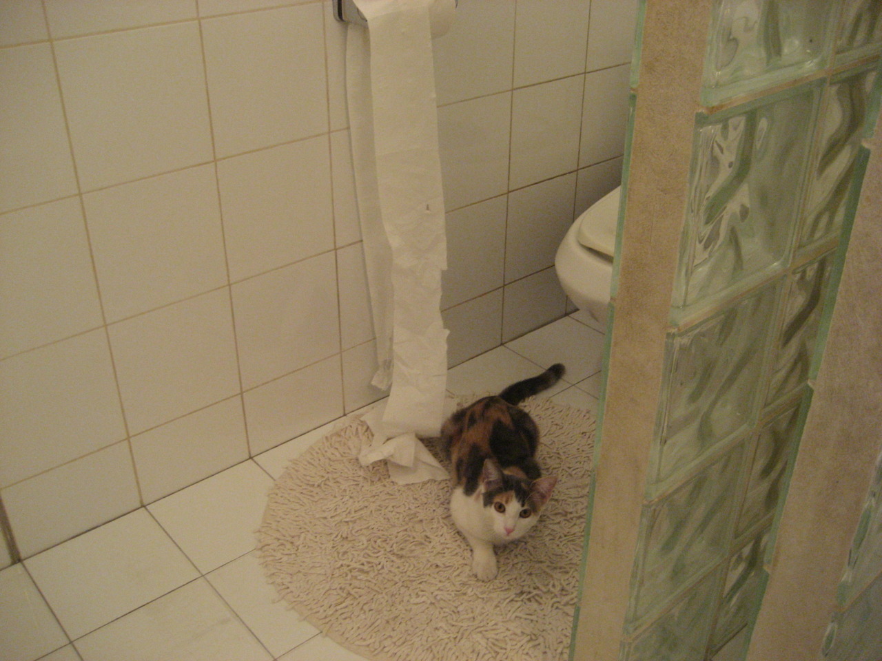 那不勒斯客场不敌罗马,遭遇失利,那不勒斯球队厉害吗