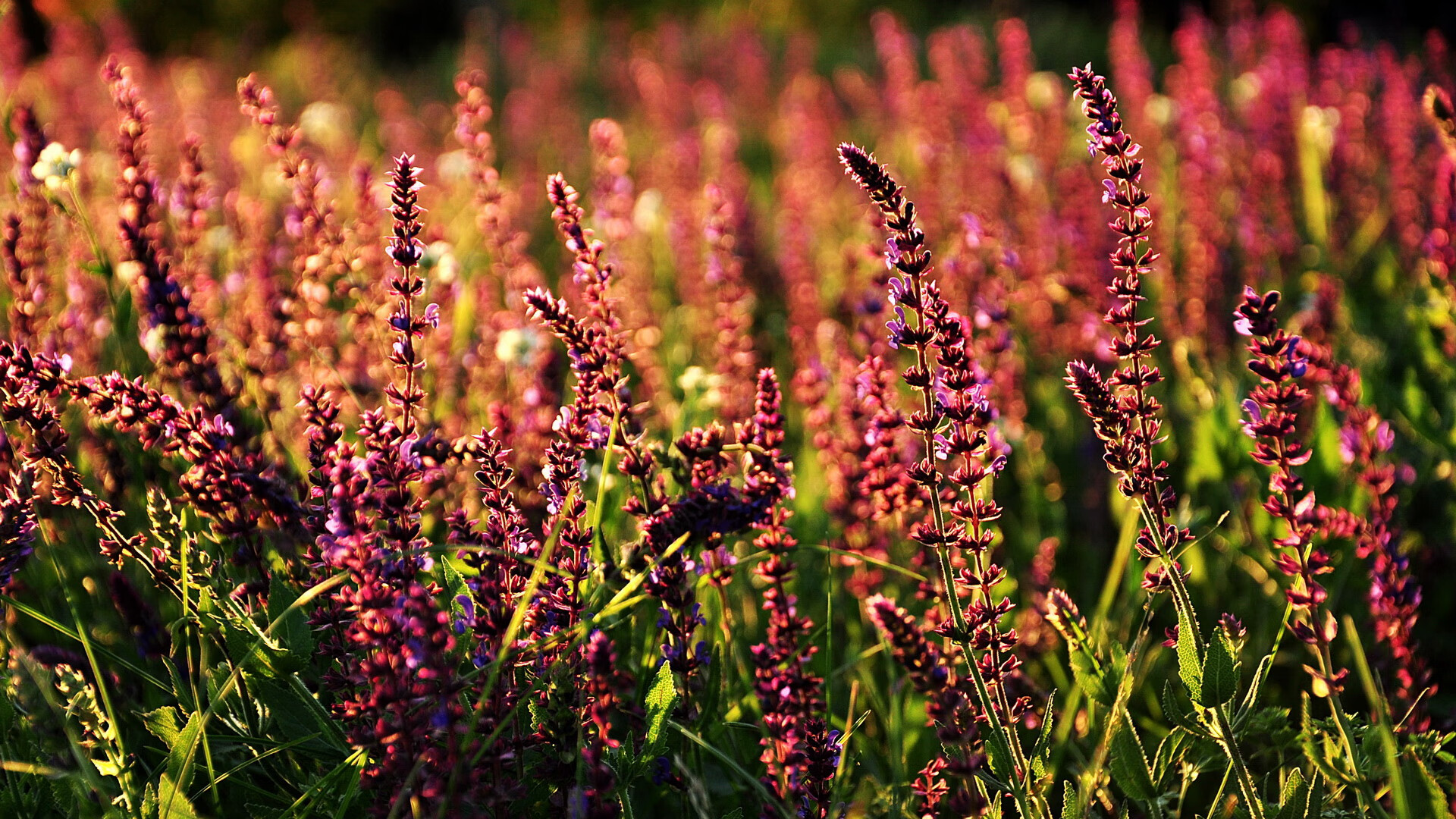 世界青少年卡丁车挑战赛中国少年表现出色，赢得掌声，青少年卡丁车夏令营