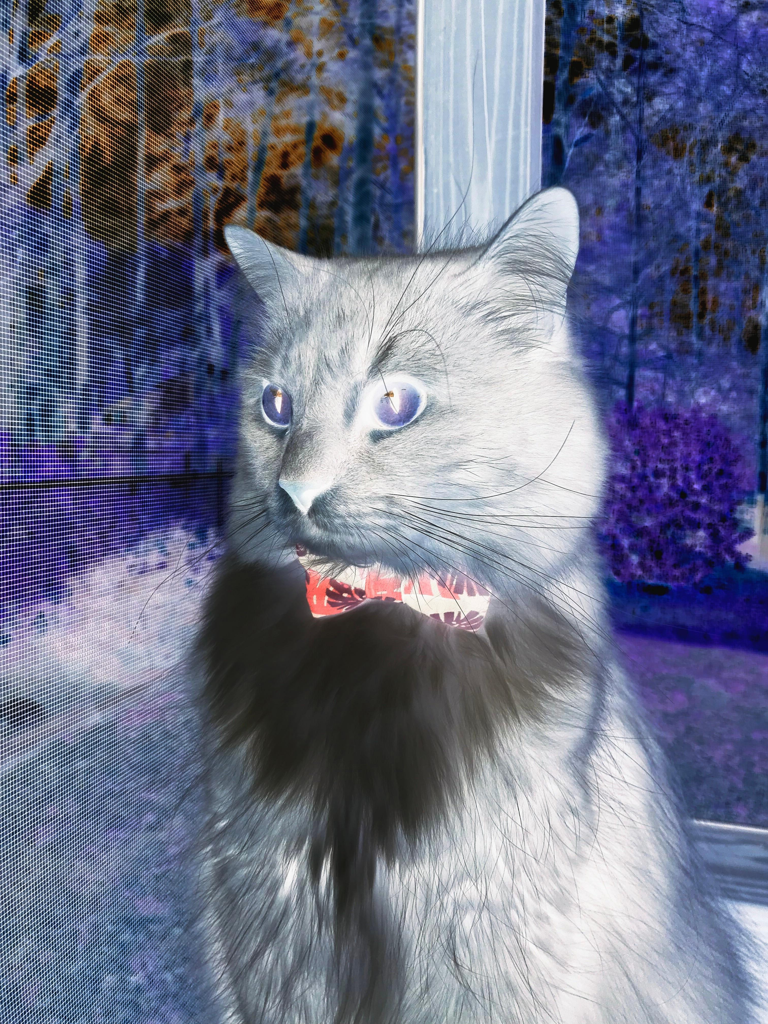 AYX官网-中国足球主教练更替周期趋势研究，中国足球的主教练是谁