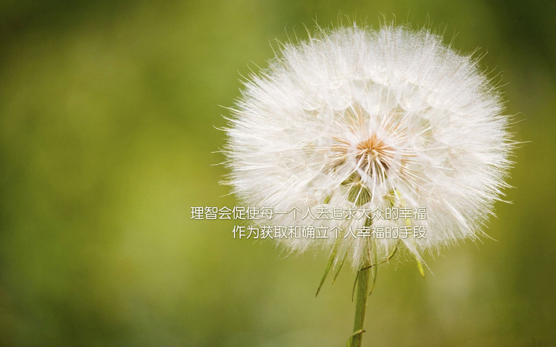 球场生态环保:绿色基地的实践探索,球场环境