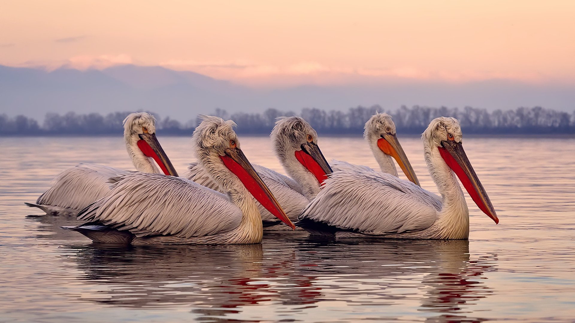 电竞赛事制作水准提升观众体验全面升级，电竞赛事举办平台有哪些