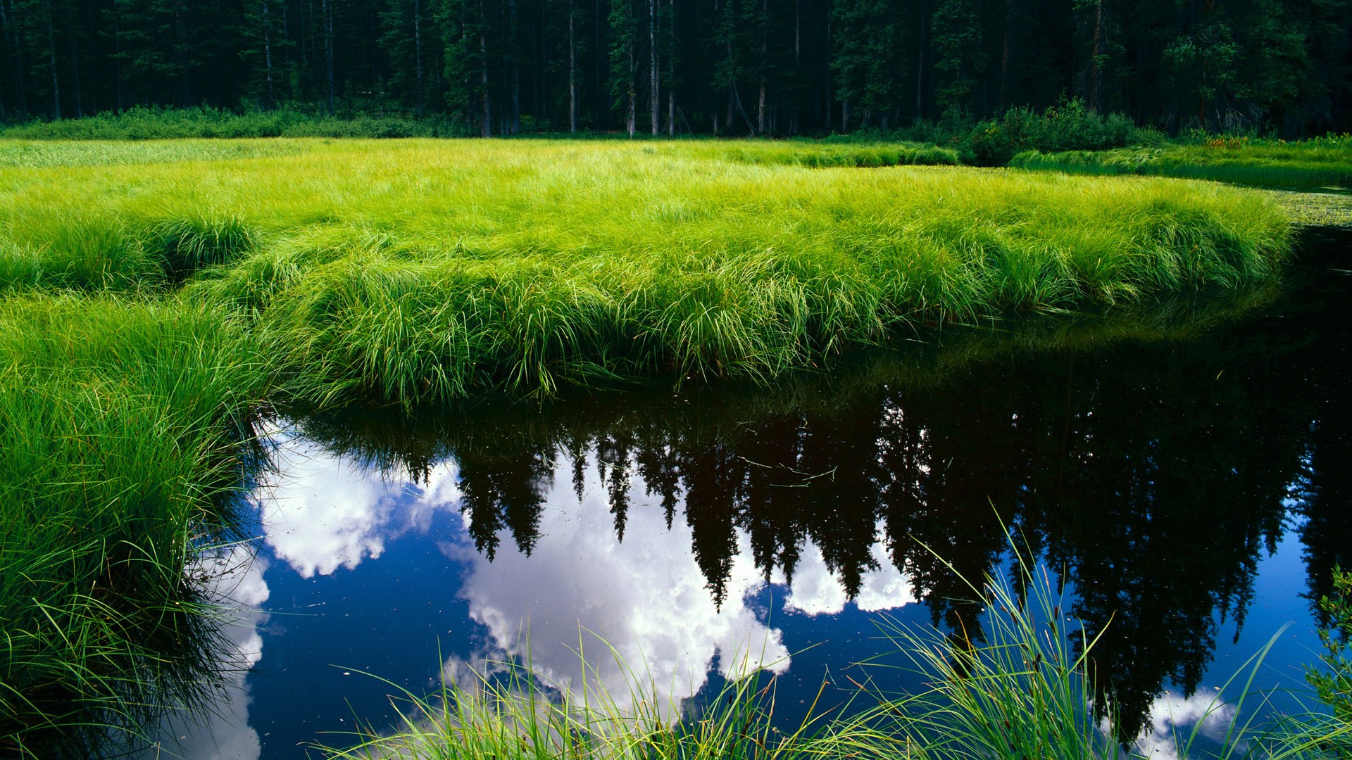 体育新闻平台整合资源提供一站式信息服务便捷高效,体育新闻网址大全