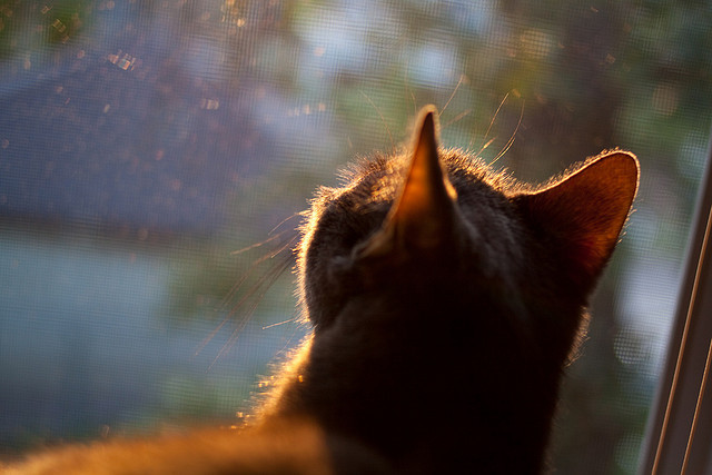 国家队训练场地全面升级保障技战术高效执行,国家队训练计划