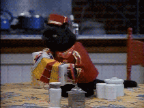 弗朗索瓦·霍尔茨豪伊泽:南非队稳固的战术基石,一次次成功组织进攻