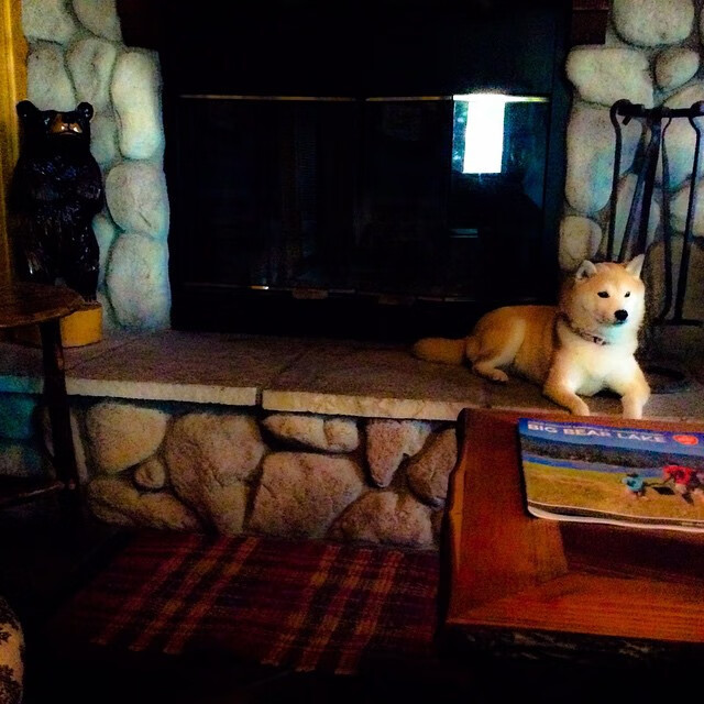 AIYOUXI.COM-林丹参与奥运回顾节目分享趣事，林丹参加了几次奥运