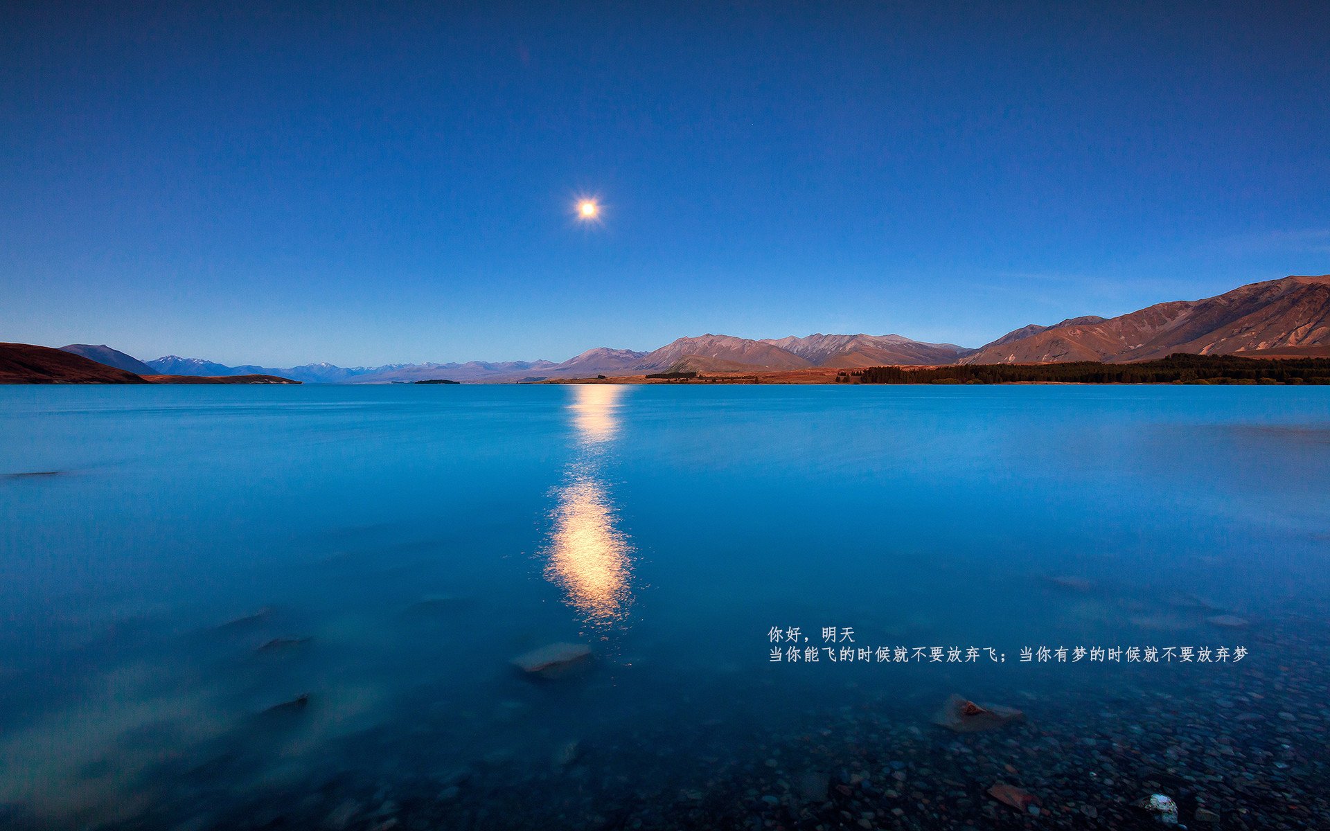 AYX体育官网-皮特·斯图斯：他在每场比赛中的表现总是让人叹为观止，斯徒皮特