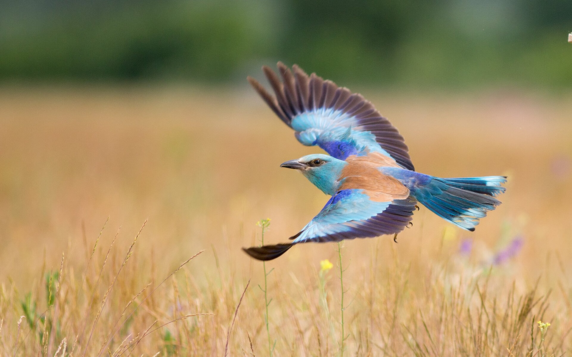 爱游戏登录入口-骑士引援传闻登上体育头条，骑士引援传闻登上体育头条了吗